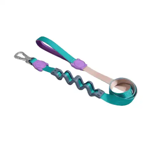 Correa com Amortiguador Zee.dog Ruff Boogie 2.5cm -120cm - Zee.dog - Comparador de precios