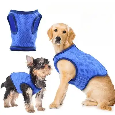 IntiMeg chaleco genial para perros - SG - IntiMeg - Comparador de precios
