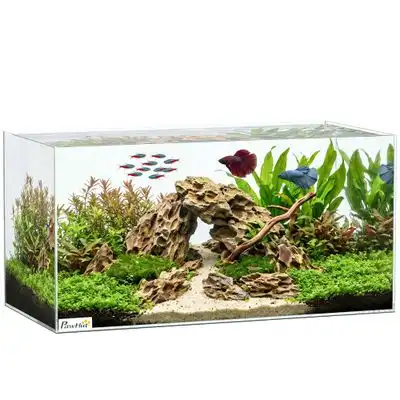 PawHut Acuario de Cristal 60x30x30 cm Transparente - 1 Article - PawHut - Comparador de precios