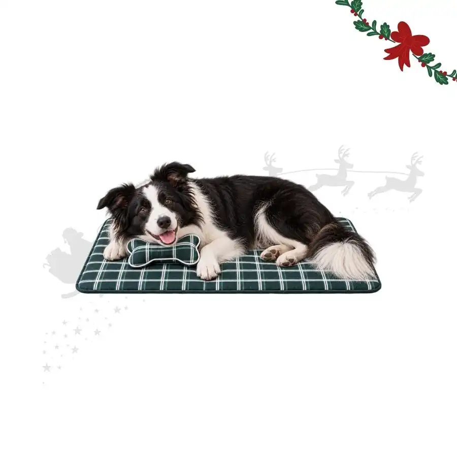 Wonder Christmas Set Manta y Cojin Hueso para perros - Set Manta con cojín - Wonder Christmas - Comparador de precios