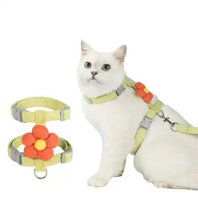 FurryFusion Juego de cuerdas de tracción para gatos (1,8 m) - Verde M - Furry Fusion - Comparador de precios