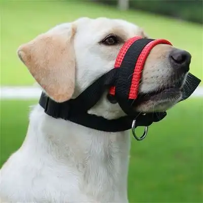 IntiMeg Bozal para perros, antimordeduras y antiingestión - L - IntiMeg - Comparador de precios