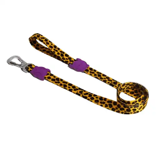 Correa Zee.dog HONEY XS - Zee.dog - Comparador de precios