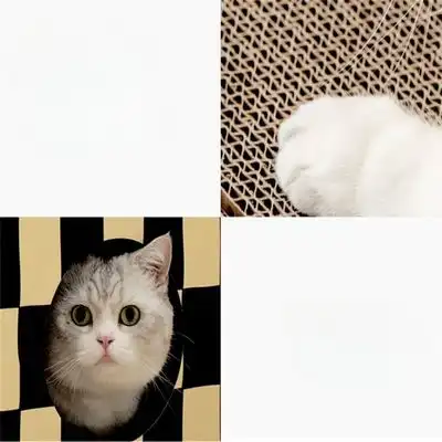 MCBOSON Rascador y cama para gatos dos en uno - 1 unidad - Mcboson - Comparador de precios