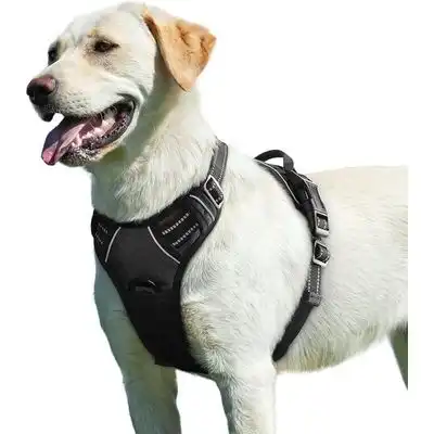 Pawffee Arnés ajustable antitirones perros asa material reflectante (L) - 1 pieza - Pawffee - Comparador de precios