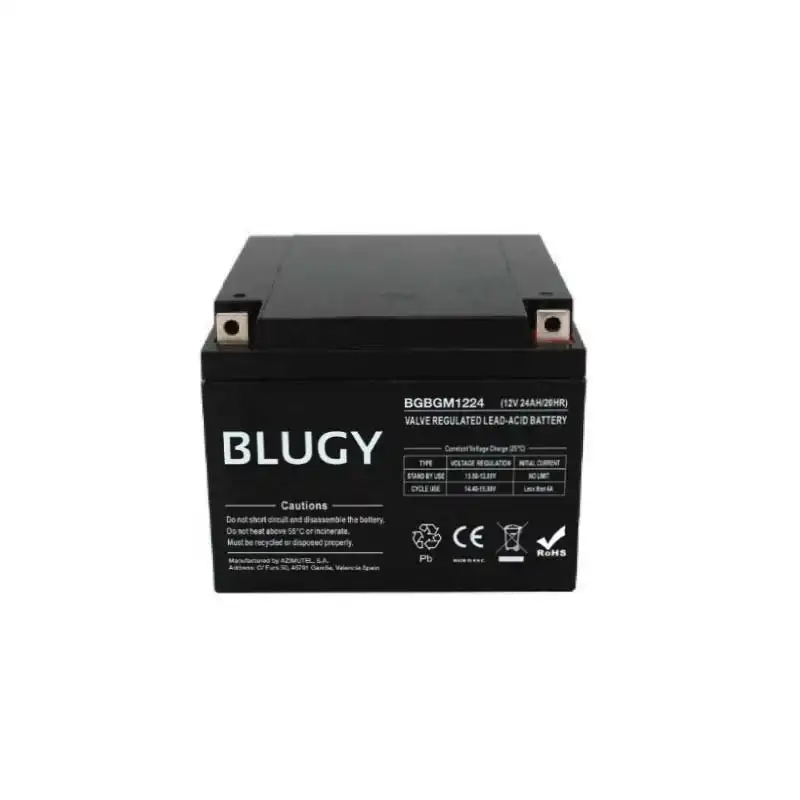 Blugy Batería Compacta Agm 12v 24a 165 X 176 X 127 Mm