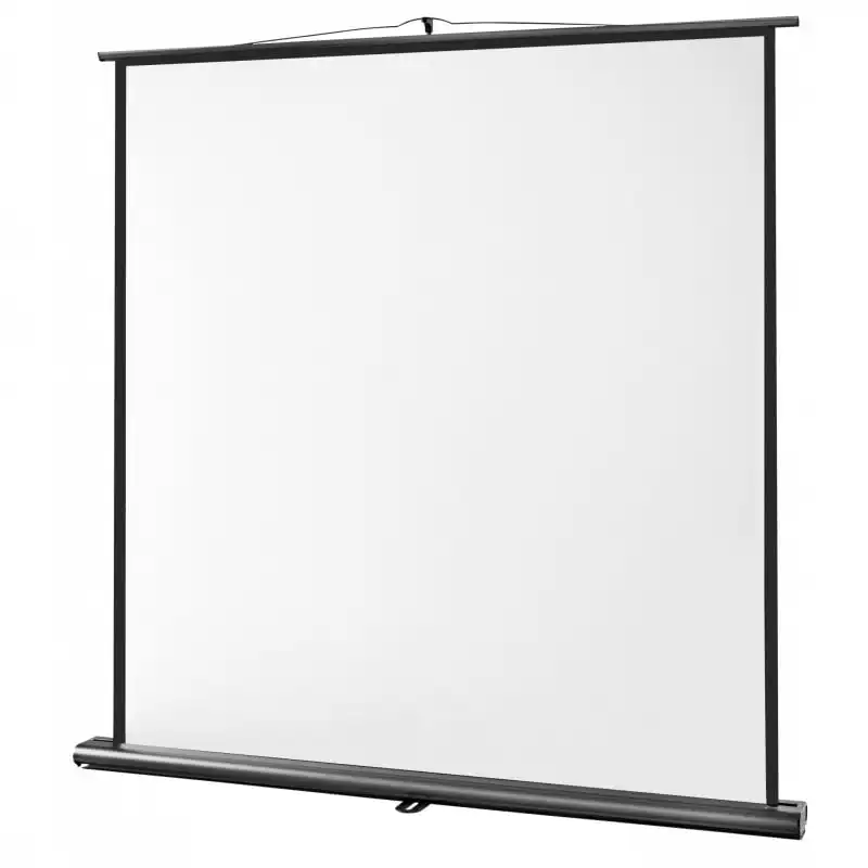 Celexon Ultramobile Professional Pantalla de Proyección 120x120cm