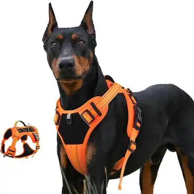 IntiMeg Arnés Power Dog - S - IntiMeg - Comparador de precios