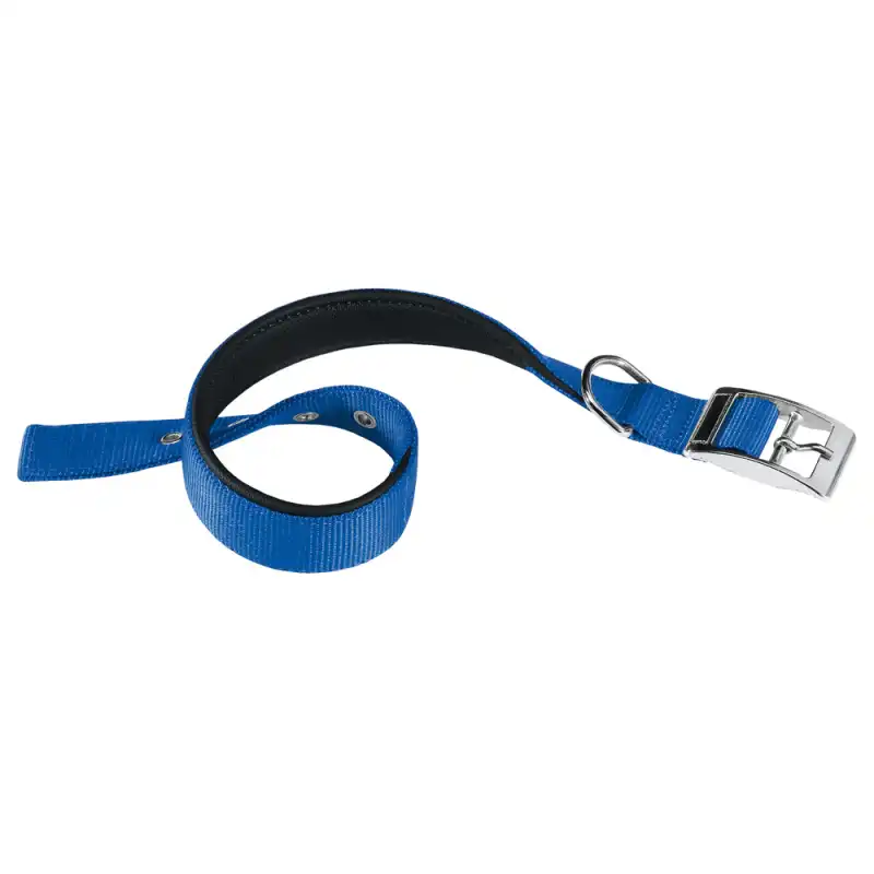 Collar Nylon Daytona C Azul para perros Ferplast, Tallas 61 - 69 Cms