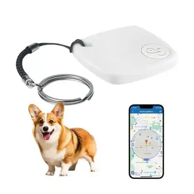 FurryFusion Localizador AirTag para mascotas - Artículo 1 - Furry Fusion - Comparador de precios