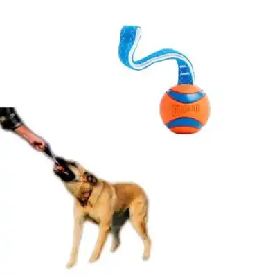 MCBOSON Tira de lanzamiento de juguete grande para perros de 7 cm - 1 artículo - Mcboson - Comparador de precios