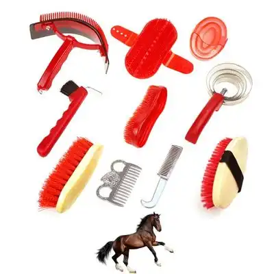 ZooVenture Kit completo de aseo para caballos - 10 piezas - Zooventure - Comparador de precios