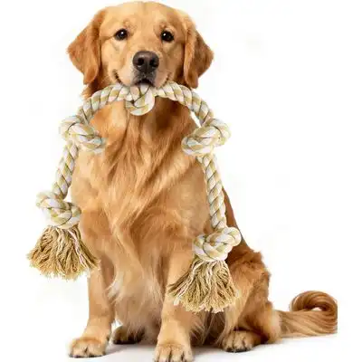 HausPets Cuerda anudada XXL de 89 cm - Indestructible, para perros grandes - Una pieza - HausPets - Comparador de precios