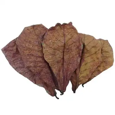 IntiMeg 20 hojas de almendro, Reduce la acidez - 20 hojas de almendro - IntiMeg - Comparador de precios