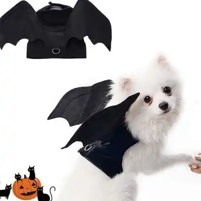 ZooVenture Arnés para perro con forma de murciélago de Halloween - 1 artículo - Zooventure - Comparador de precios