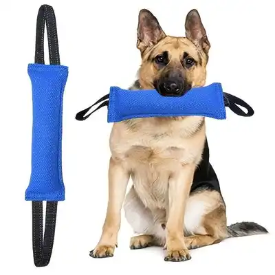 FurryFusion  de nailon para perros para tirar de la cuerda - Azul - Furry Fusion - Comparador de precios