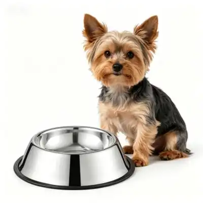 ZooVenture Bol antiderrame de acero inoxidable - Gran capacidad - Modelo estándar de 30 cm - Zooventure - Comparador de precios