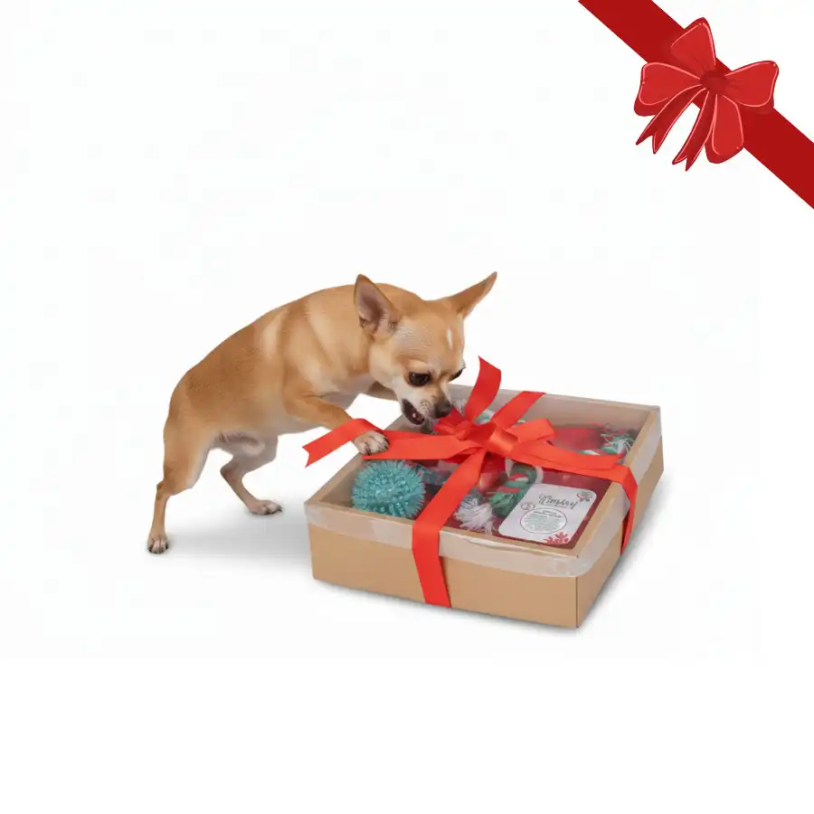 Wonder Christmas Caja de s Navideños para perros - Wonder Christmas - Comparador de precios