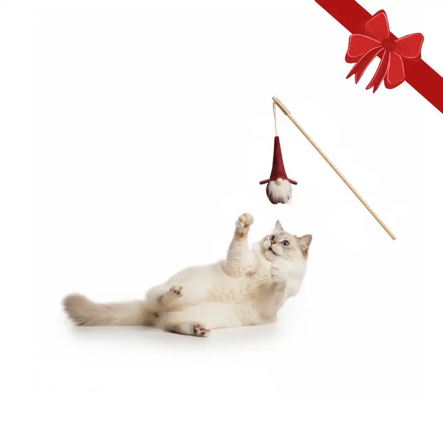 Wonder Christmas  de Caña Santa Navideño para gatos - Wonder Christmas - Comparador de precios
