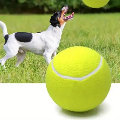 IntiMeg Pelota de tenis gigante de 9,5 pulgadas para perros - Una pieza - IntiMeg - Comparador de precios