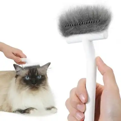 Pawffee Cepillo de aseo gatos pelo largo - Desenredante subpelo - Blanco - 1 pieza - Pawffee - Comparador de precios