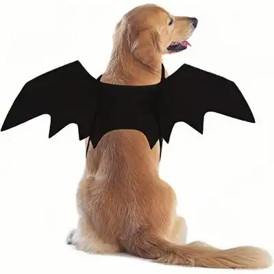 ZooVenture Disfraz de murciélago para perros grandes - METRO - Zooventure - Comparador de precios