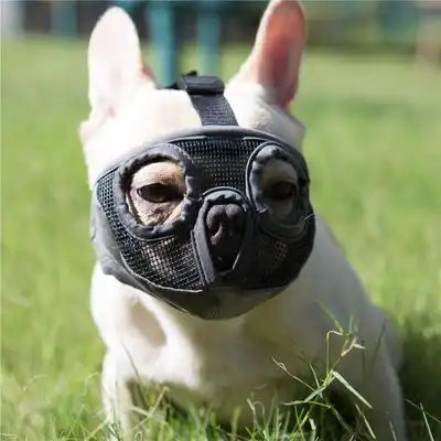 HausPets Bozal de malla transpirable de 28-43 cm - Bulldog, a mordeduras M - Una unidad - HausPets - Comparador de precios