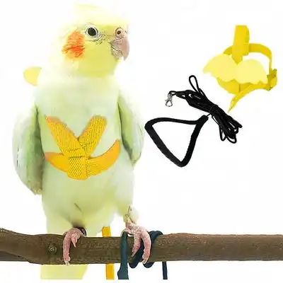 ZooVenture Arnés y correa para loros como mascotas - AMARILLO - Zooventure - Comparador de precios
