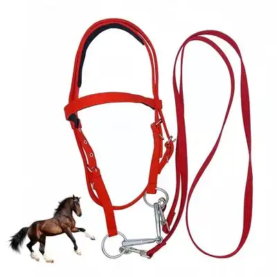 ZooVenture Cabezada y brida para caballo - S - Zooventure - Comparador de precios