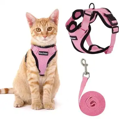 MCBOSON Conjunto de arnés y correa para gatos - XS - Mcboson - Comparador de precios
