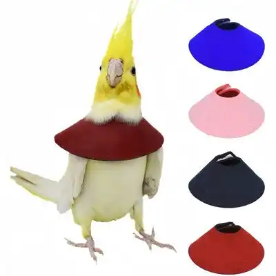 ZooVenture Juego de 4 collares anti-mordeduras para loros - 4 piezas (M) - Zooventure - Comparador de precios