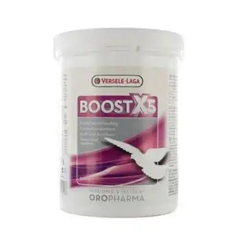 Fortificante Vitamínico Para Palomas Boost X5 500 Gr.