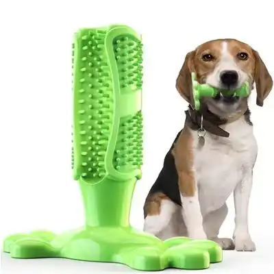 MCBOSON Cepillo de dientes para perros, juguete masticable de 15,5 cm - 12,6 cm - Mcboson - Comparador de precios