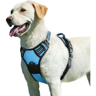 Pawffee Arnés reflectante antitirones para perros asa, talla grande, azul - 1 pieza - Pawffee - Comparador de precios