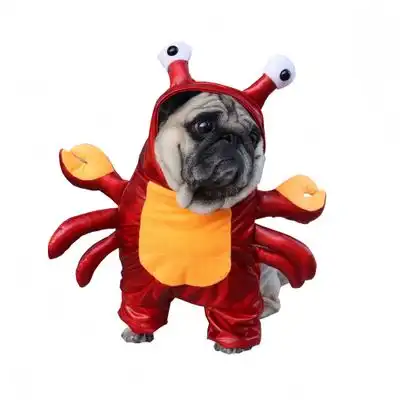 FurryFusion Disfraz de Halloween con forma de cangrejo rojo para perros - SG - Furry Fusion - Comparador de precios