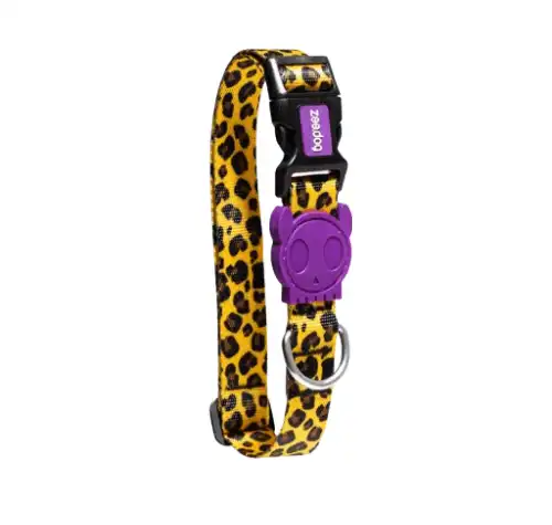 Collar Zee.dog Honey XS - Zee.dog - Comparador de precios