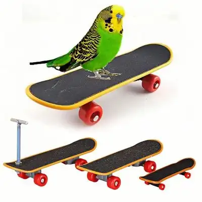 ZooVenture  interactivo para loros - 3 piezas - Zooventure - Comparador de precios