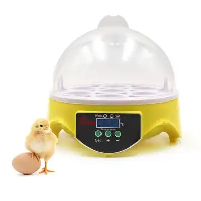 IntiMeg Incubadora automática para 7 huevos - Una pieza - IntiMeg - Comparador de precios