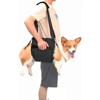 Pawffee Arnés de transporte talla M negro con soporte patas, rehabilitación - 1 pieza - Pawffee - Comparador de precios