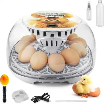 IntiMeg Incubadora automática para 12 huevos - Una pieza - IntiMeg - Comparador de precios
