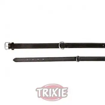 Collar Active, M, 39-46 Cm,22 Mm, Negro