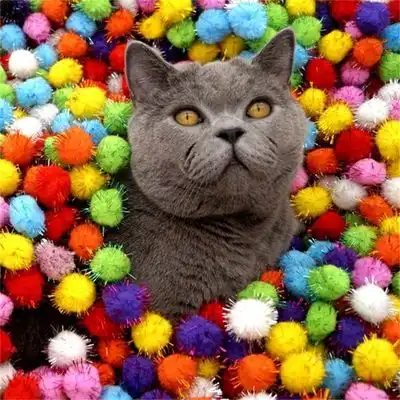 MCBOSON  de peluche para gatos de 3 cm, 20 unidades - Veinte - Mcboson - Comparador de precios
