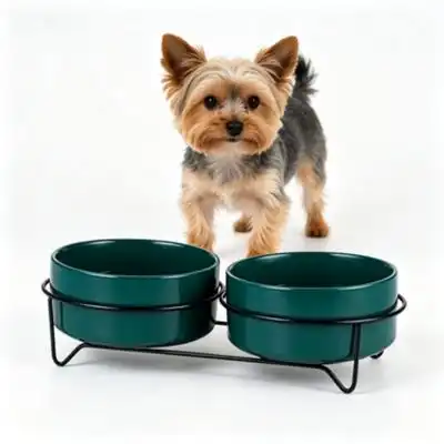 ZooVenture Comedero de cerámica para gatos - Soporte metal, 400 ml, verde - Verde mate, tamaño pequeño 13 cm - Zooventure - Comparador de precios