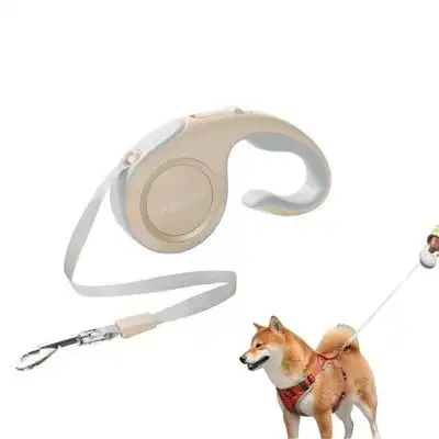 FurryFusion Correa retráctil para perros de 3 m - Oro - Furry Fusion - Comparador de precios