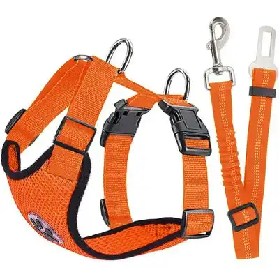 HausPets Arnés de coche perro naranja talla XXS cinturón elástico ajustable - Artículo 1 - HausPets - Comparador de precios