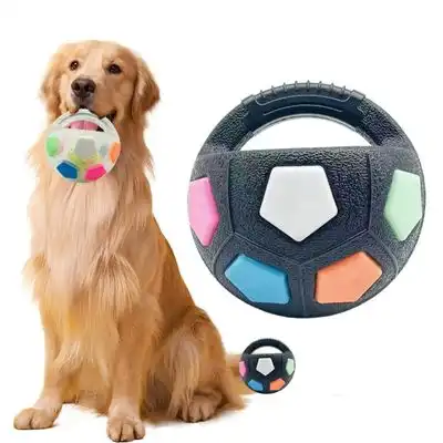 IntiMeg  para perros con forma de balón fútbol que se sostiene mano - Artículo 1 - IntiMeg - Comparador de precios