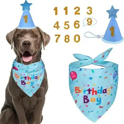 ZooVenture Kit para fiesta de cumpleaños canina: gorro y pañuelo - Grande [Azul] - Zooventure - Comparador de precios