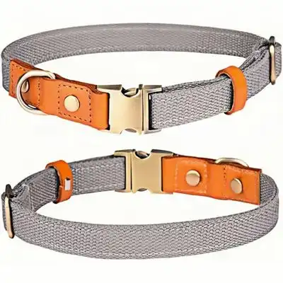 FurryFusion Collar para perro - Ajustable - Gris - Gris - (Talla M) - Furry Fusion - Comparador de precios