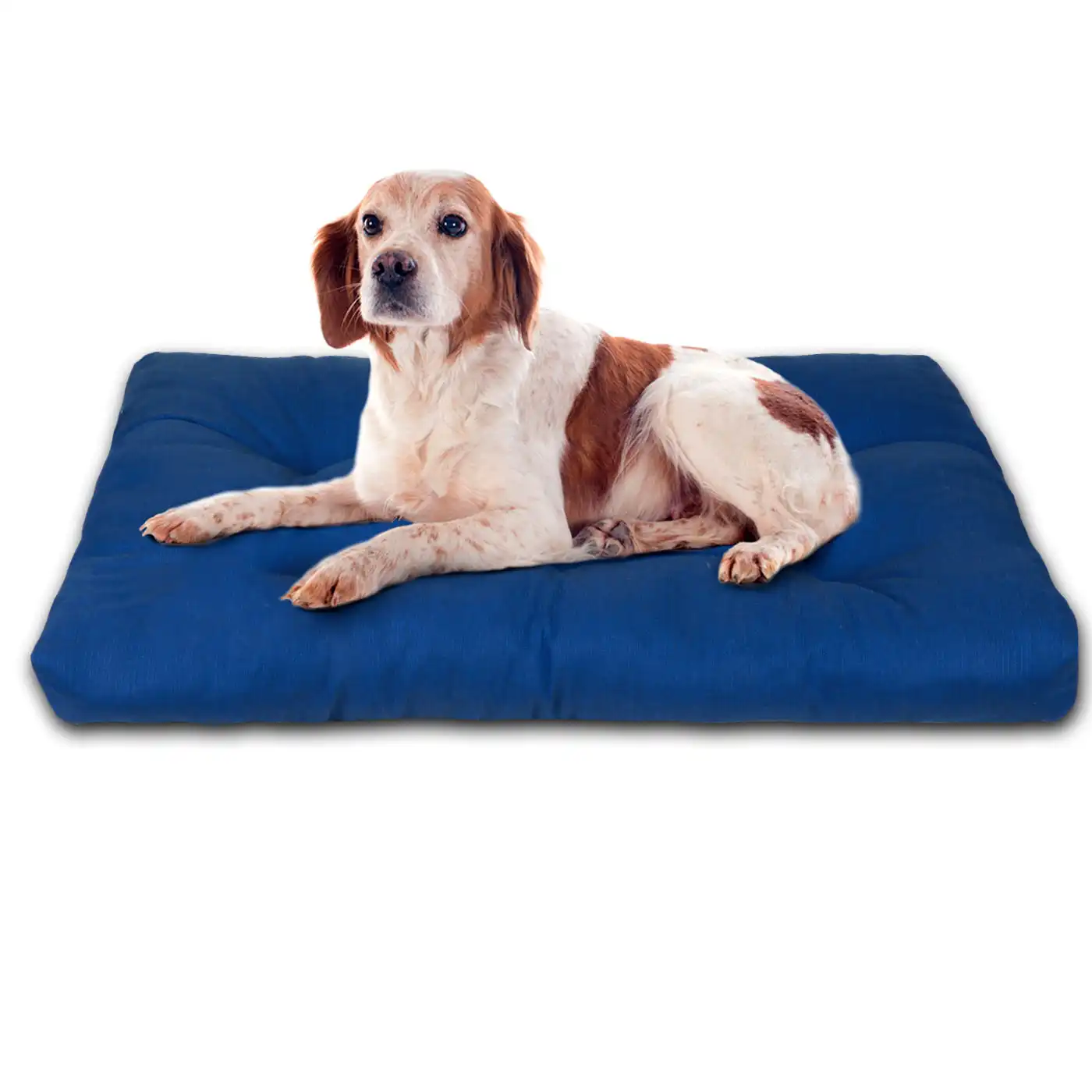 HOME MERCURY- Cama de Mascota, Colchón para Perro, Colchoneta Reversible Estampada Relleno de Espuma para Interior y Exterior. (Small, Azul)