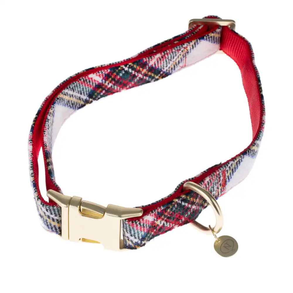 Nomad Tales Tartan: collar, correa, dispensador de bolsas, coletero - Talla del collar L: perímetro de cuello de 42-66 cm